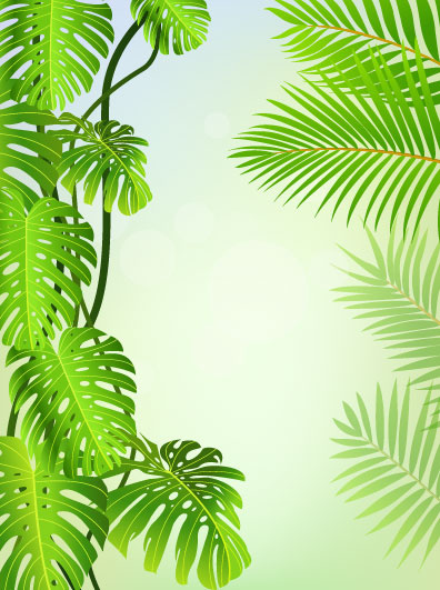 tropikal yaprak yeşil öğeleri arka plan vektör