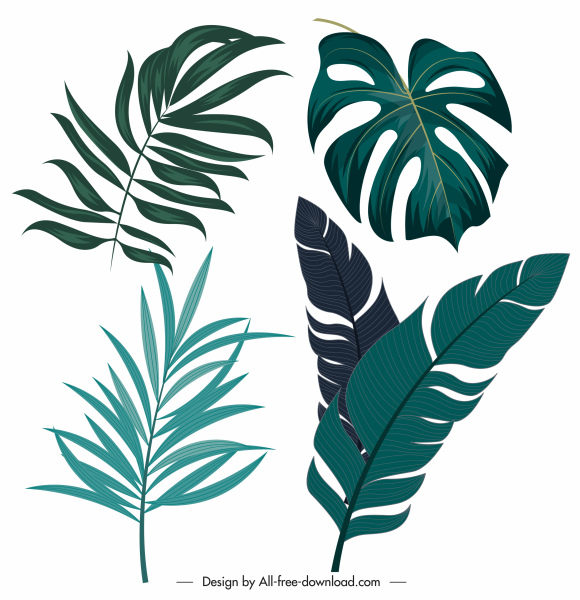 iconos de hojas tropicales contorno clásico dibujado a mano