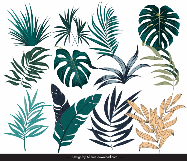 iconos de hojas tropicales diseño dibujado a mano de colores modernos