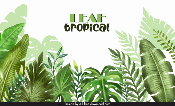 열대 잎 배경 템플릿 밝은 녹색 클래식 디자인