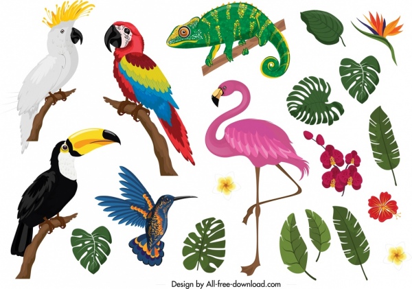 tropische Natur Designelemente Tiere Pflanzen Ikonen