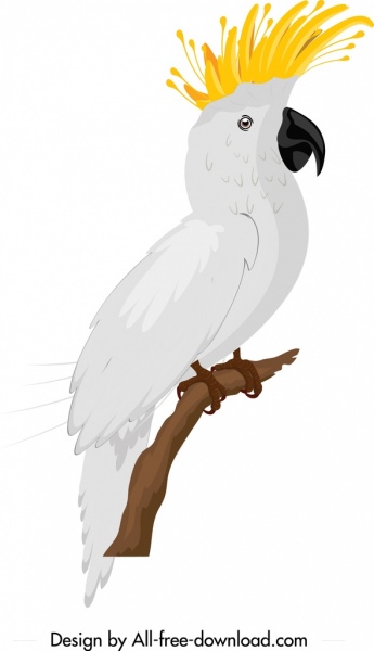熱帶鸚鵡圖示白色羽毛素描卡通設計
