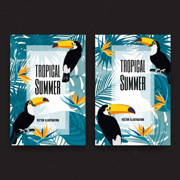 tropical estate sfondo uccelli lascia decorazioni colorate design
