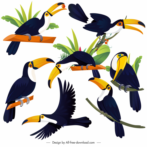 ícones de pássaros tucanos desenho animado colorido