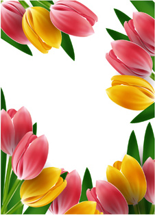 Tulipanes marcos vector