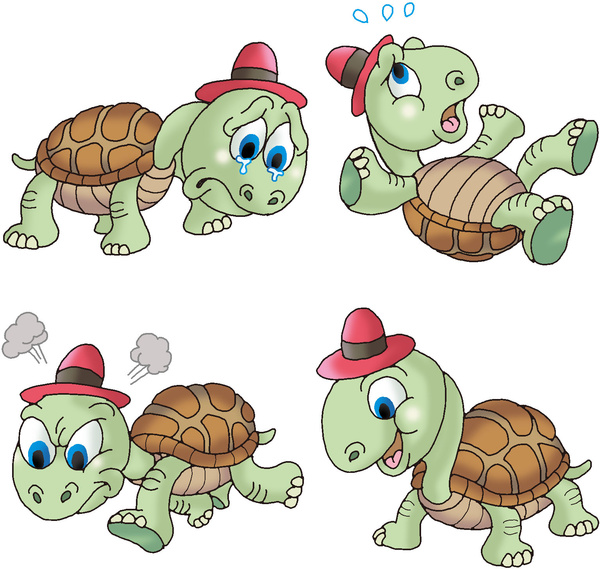 Schildkröte -8