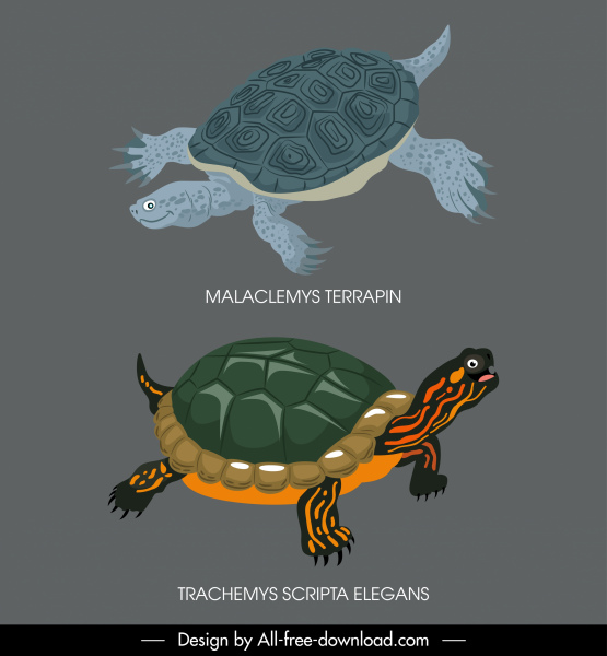 ícones de espécies de tartarugas clássicas decoração de cor escura