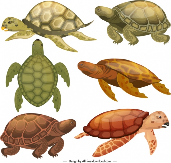 Значки видов черепах цветной современный эскиз