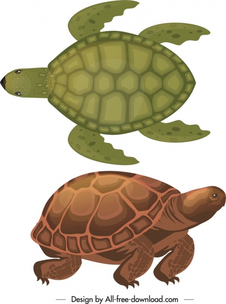 Значки видов черепах темный эскиз