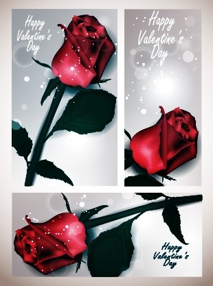 Hari Valentine kartu mawar desain vektor