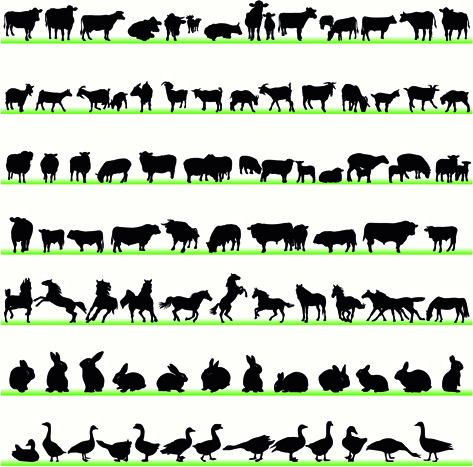 silhuetas de animais diversos desenha set vector