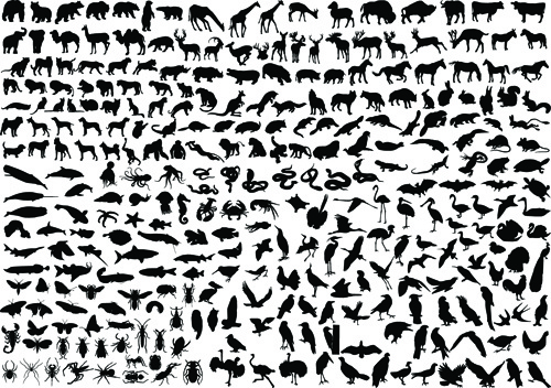 مختلف الحيوانات الصور الظلية ناقلات تصميم مجموعة