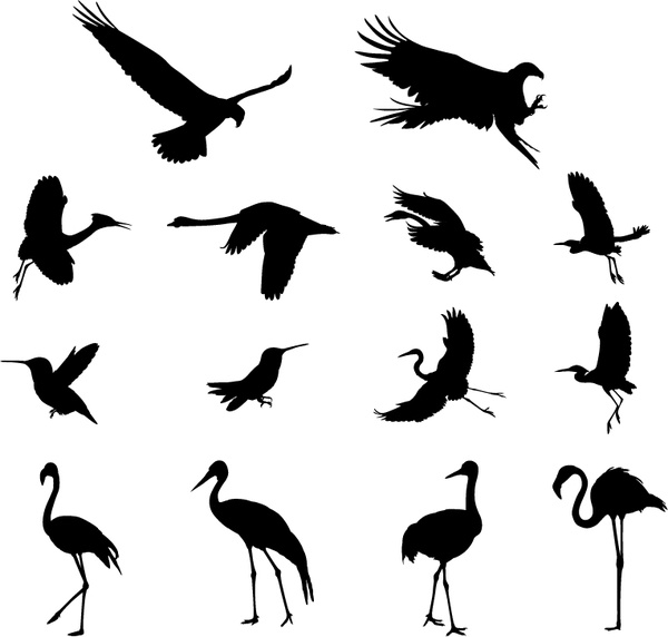 conjunto de vetores silhuetas de pássaros diversos