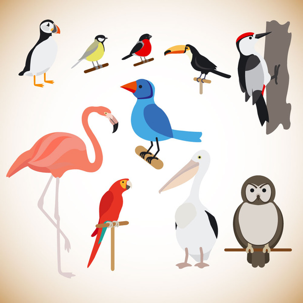 verschiedene Vögel Vektor-Illustration mit Farbstil