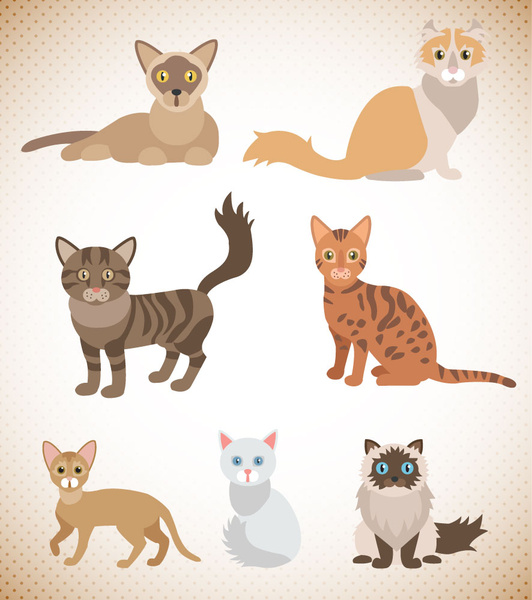 berbagai ilustrasi vektor kucing dengan mata polos