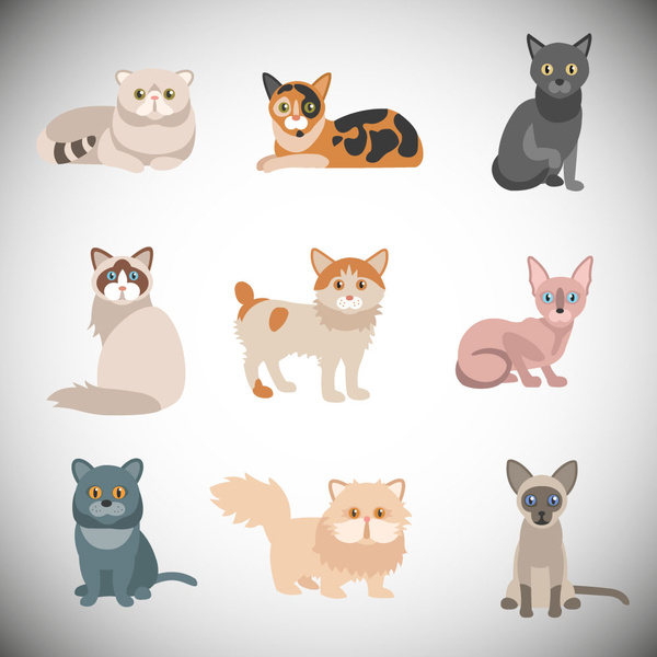 ناقل القطط مختلف الرسوم التوضيحية مع نمط الألوان مجردة ناقلات ناقل حر تحميل مجاني
