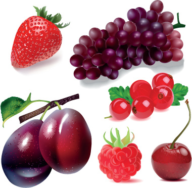 vetor de elementos de design de várias frutas frescas