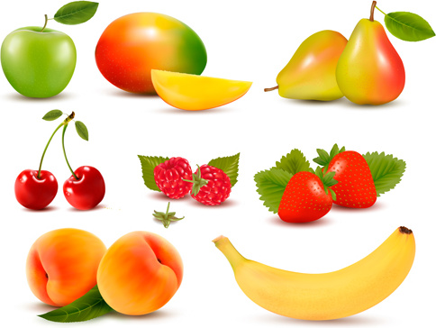 várias frutas frescas projeto vector