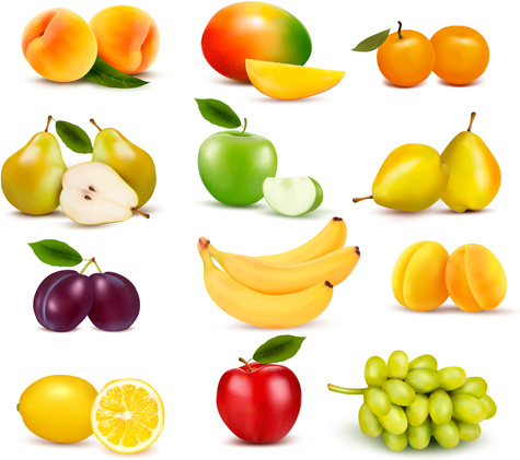 verschiedene frische Früchte-Vektor-design