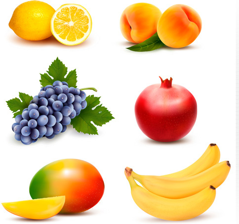 várias frutas frescas vector design