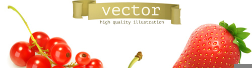 berbagai buah-buahan berair ilustrasi vektor