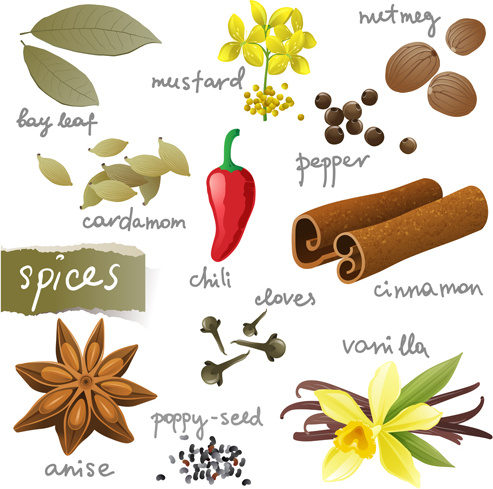 Various Spices Design Vectors Set 2