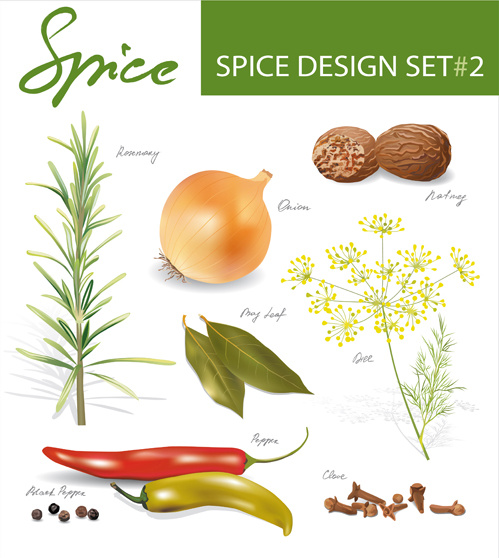Various Spices Design Vectors Set 5