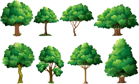 çeşitli ağaç vektörel çizimler ayarla