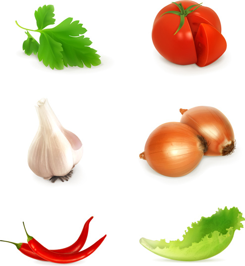 различные овощи дизайн векторов
