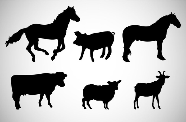 divers animaux sauvages avec des silhouettes illustration vectorielle conception