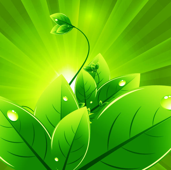 Vektor-Hintergrund mit grünen Blättern