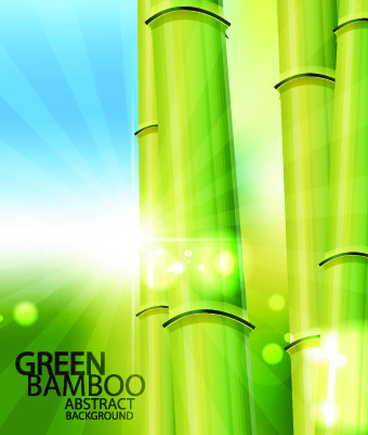 Vektor-Bambus-Design-Elemente-Hintergrund