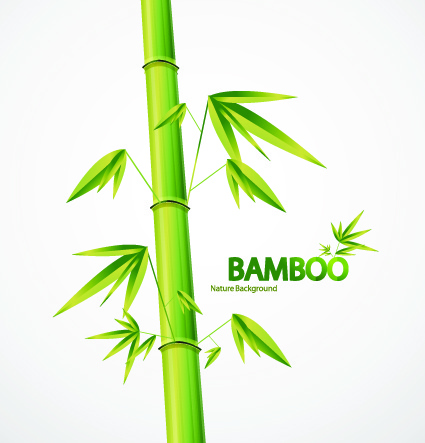 Elementos de diseño de vectores de fondo de bambu
