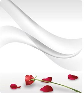 Vector Beautiful Red Rose Illustration On Abstract Gray Line Art Background