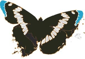 borboleta de grunge bela silhueta de vetor