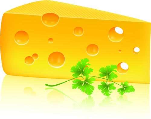 Vector Cheese Design Elements 3