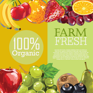 vector design de fundo de frutas frescas do farm