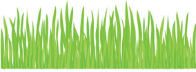 Vector Grass Design Pattern