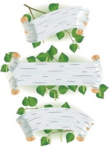 흰색 질감된 패턴 프레임 배너의 벡터 녹색 잎 테두리