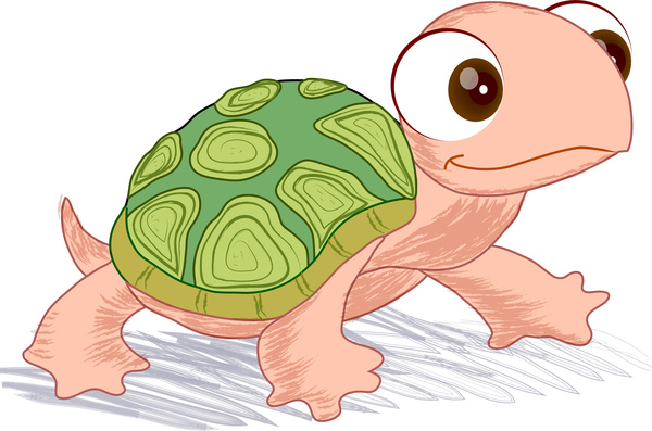 ilustrasi vektor kura-kura yang digambar tangan
