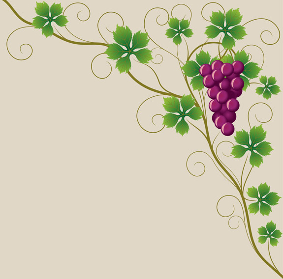 vecteur raisins juteux design graphique ensemble 8
