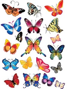 Vektor-schönes Design, schöne bunte Reihe von fliegenden Schmetterling