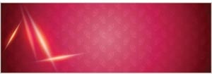 Vector Red Vintage Pattern Glossy Background Banner