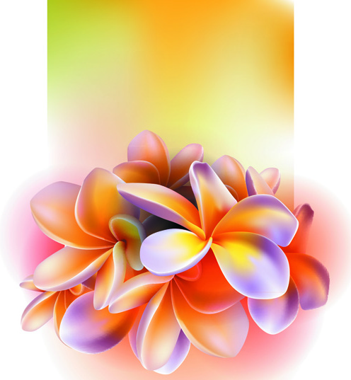 Bahar çiçek tasarım grafik vektör kümesi