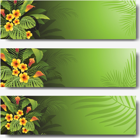vektor tanaman tropis yang hijau banner set