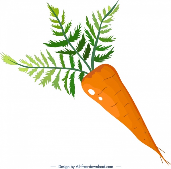 fond végétal carotte icône coloré décor plat