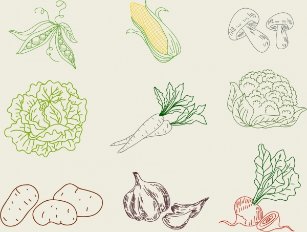 蔬菜的圖標集合3D手繪輪廓
