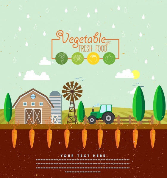 spanduk promosi sayuran ikon wortel latar belakang lahan pertanian