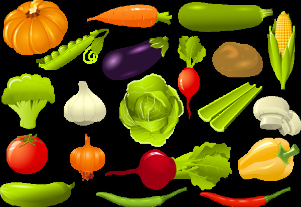 Gemüse-Vektor-Sammlung