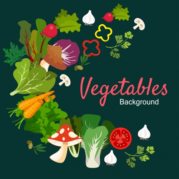 蔬菜背景多彩多姿的圖示設計